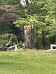 IMG_0280.jpeg