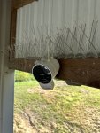 IMG_6859.jpeg