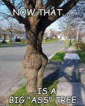 1784890765664.png
