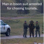 1785594162266.png