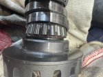 IMG_1435.jpeg