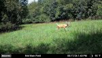 3371667-20260817174032-pir-trigger-20260817134010-2_20260817.jpg