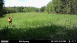 3371304-20260818182836-pir-trigger-20260818142816-1_20260818.jpg