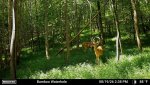 3371740-20260819183906-pir-trigger-20260819143805-1_20260819.jpg