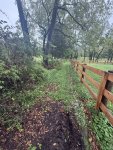 IMG_1471.jpeg