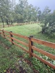 IMG_1470.jpeg