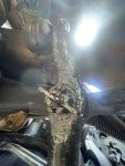IMG_2681.jpeg