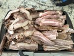 IMG_7156.jpeg