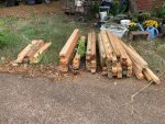 IMG_3101.jpeg