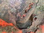 IMG_3077.jpeg