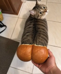 1793115172418.png