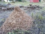 20170929_182510.jpg