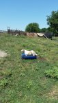 B8200 manual, cattle in creek 043.jpg