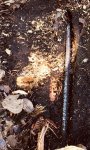 Buried Rebar.jpg